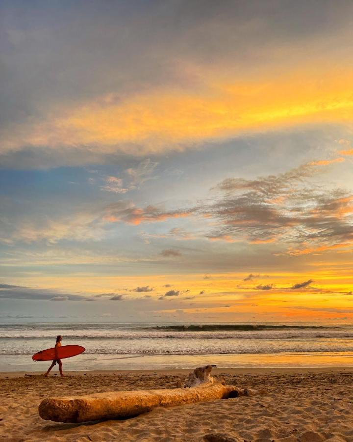 Buena Onda Bungalows Playa Santa Teresa  Buitenkant foto